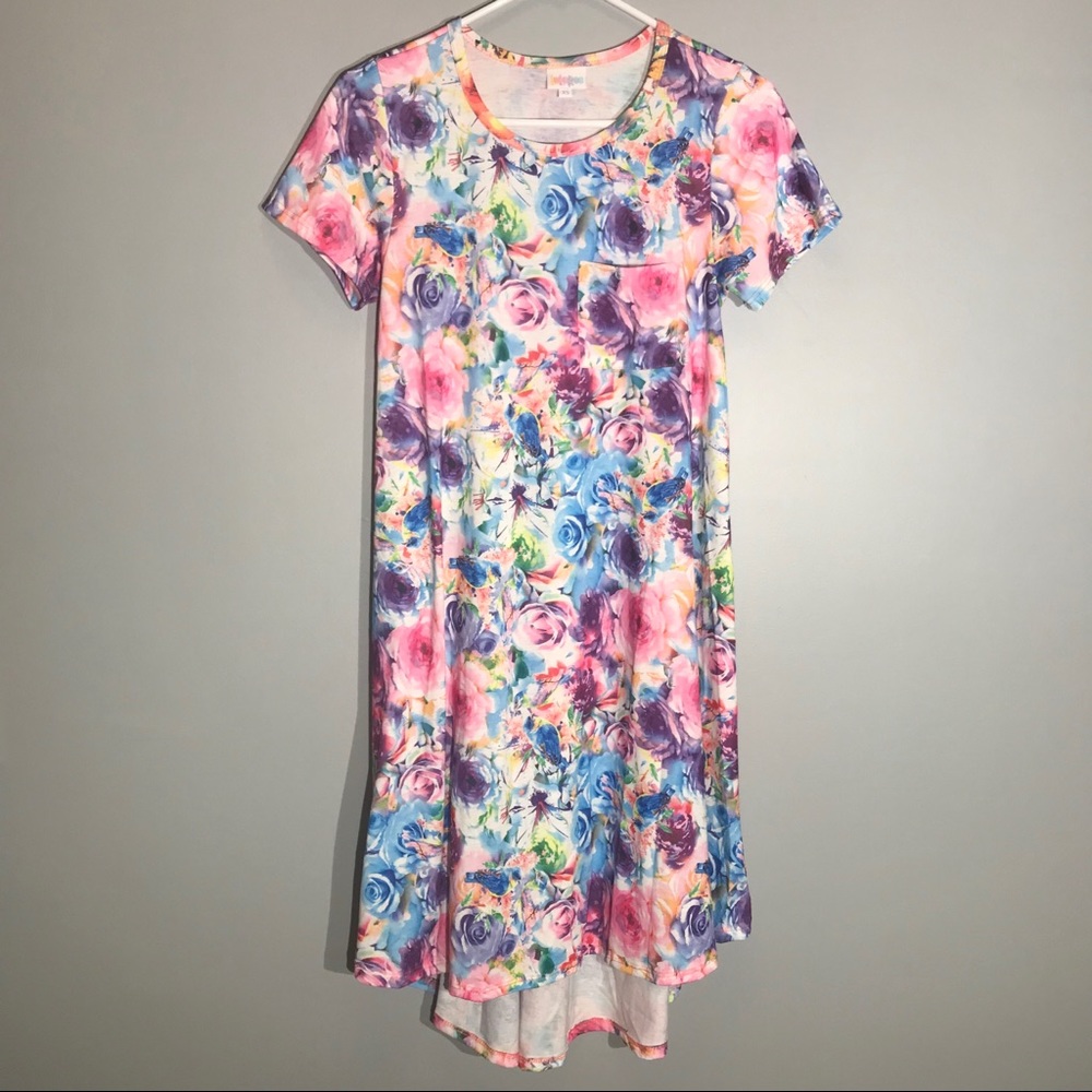 LuLaRoe Carly Dress